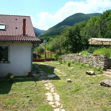 Cuibul Salamandrelor Sarmizegetusa Exterior foto
