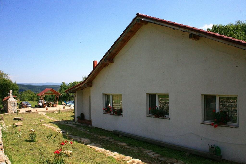 Cuibul Salamandrelor Sarmizegetusa Exterior foto