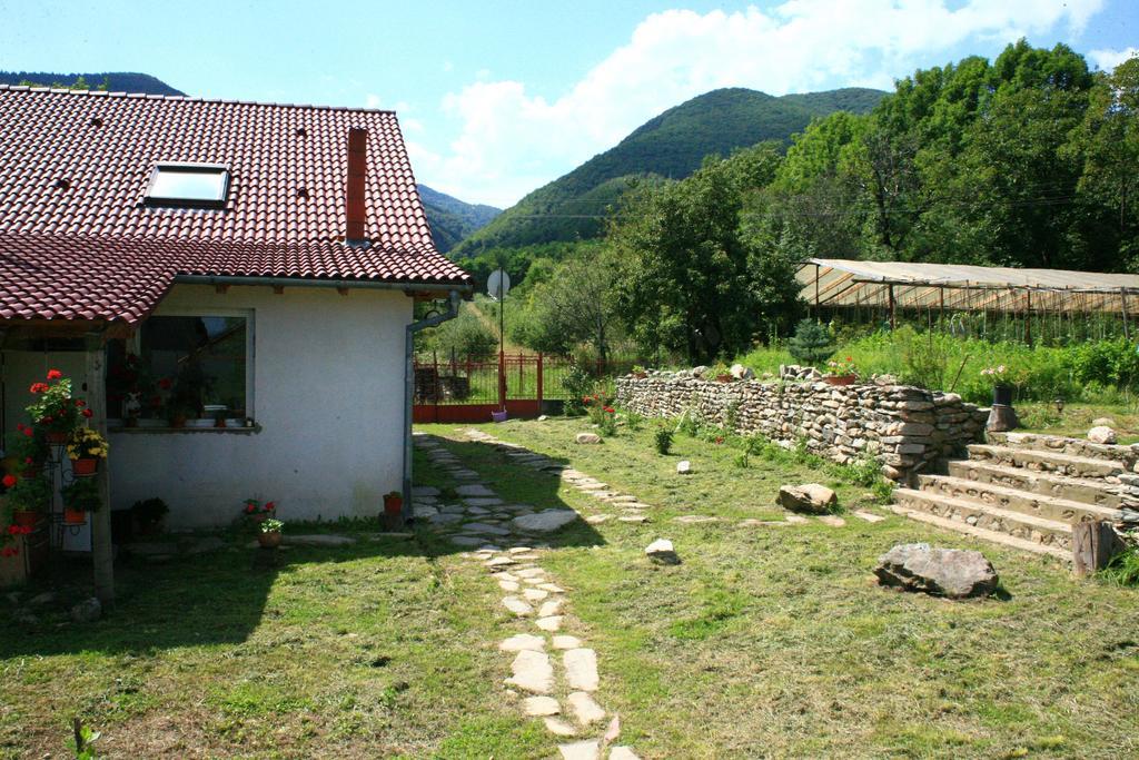 Cuibul Salamandrelor Sarmizegetusa Exterior foto