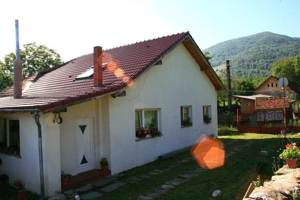 Cuibul Salamandrelor Sarmizegetusa Exterior foto